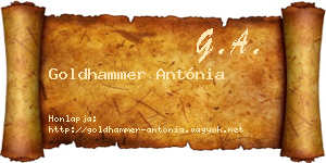 Goldhammer Antónia névjegykártya